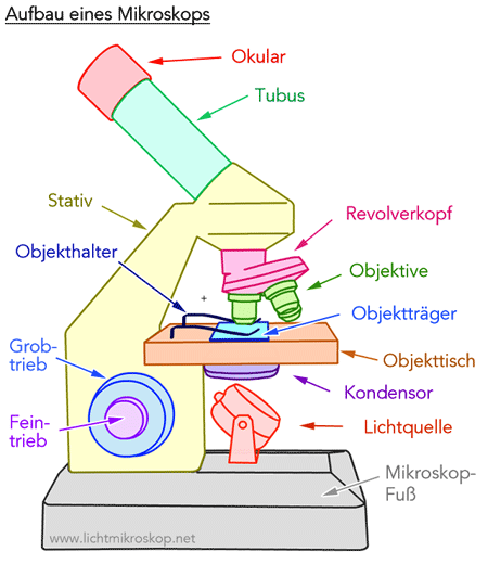 Aufbau eines Mikroskops